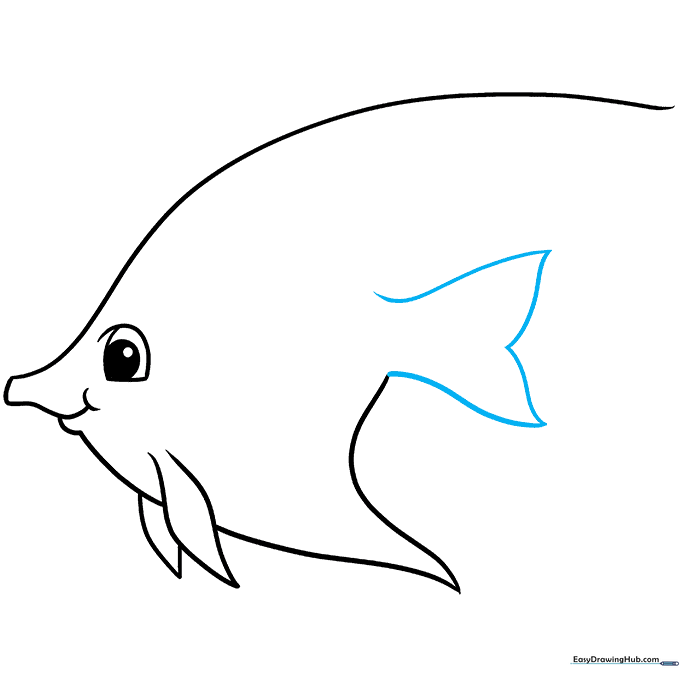 Sketch of the double-triangle tail fin attached to the back of the fish body.