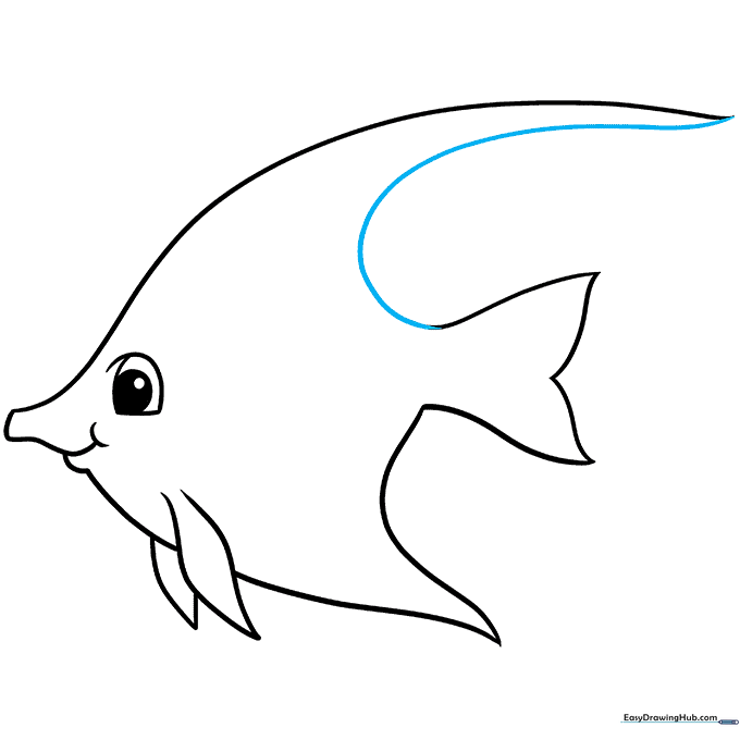 Sketch showing the completed outer silhouette of the angelfish by connecting the tail and dorsal fin.