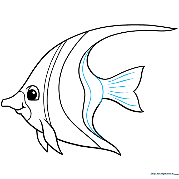 Sketch showing fine texture lines added to the tail and fins of the angelfish.