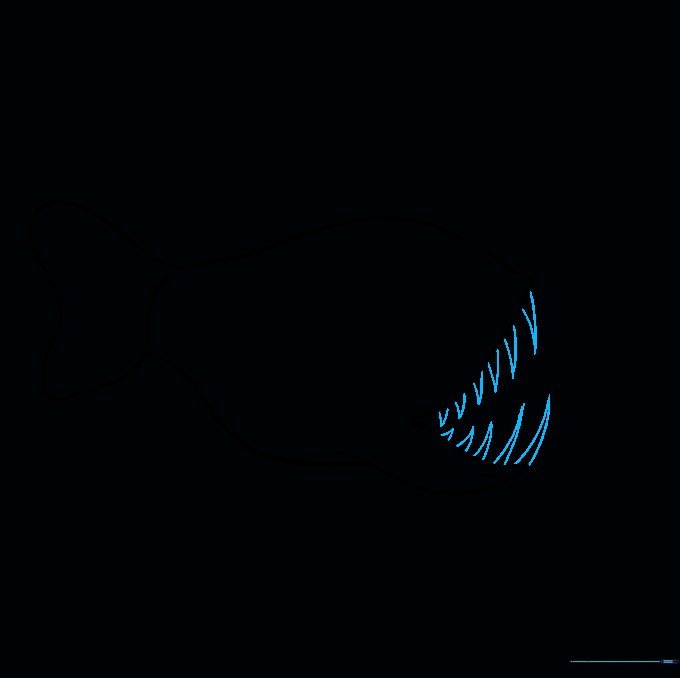 A series of sharp, pointed teeth drawn inside the angler fish's open mouth.