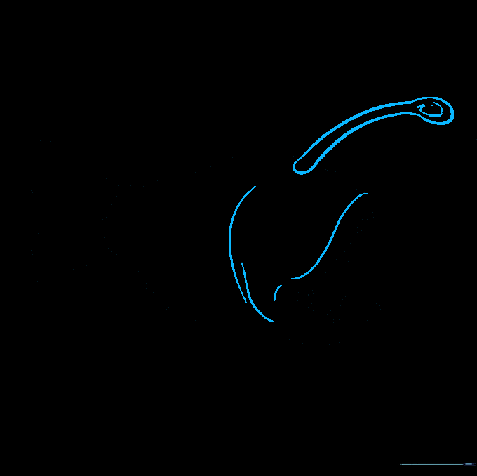 The angler fish now includes a long dorsal appendage with a glowing lure at the end.