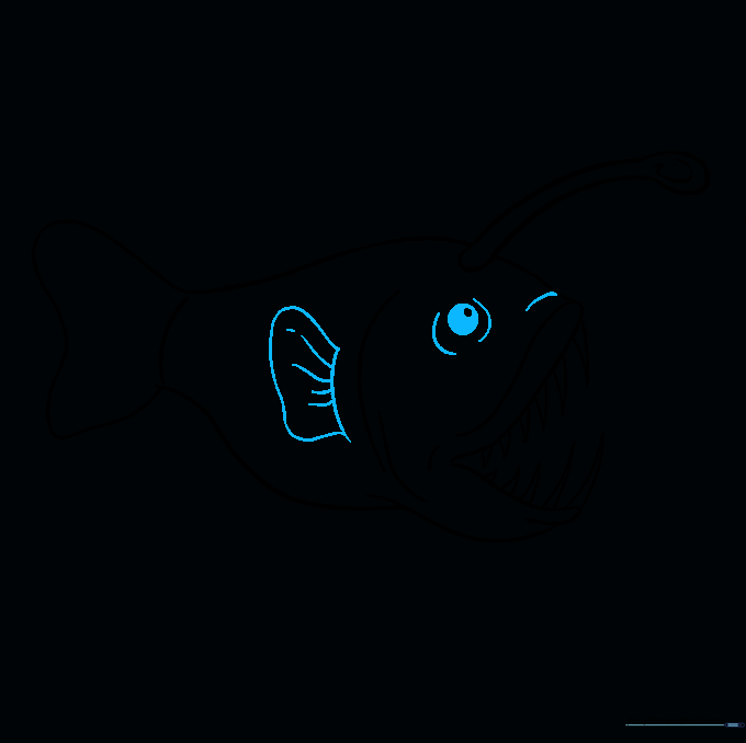 The angler fish now has a detailed eye and a side pectoral fin.