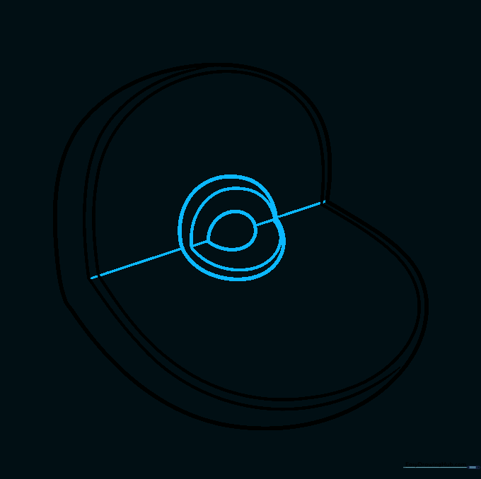 Drawing the central nucleus and nucleolus inside the animal cell structure.
