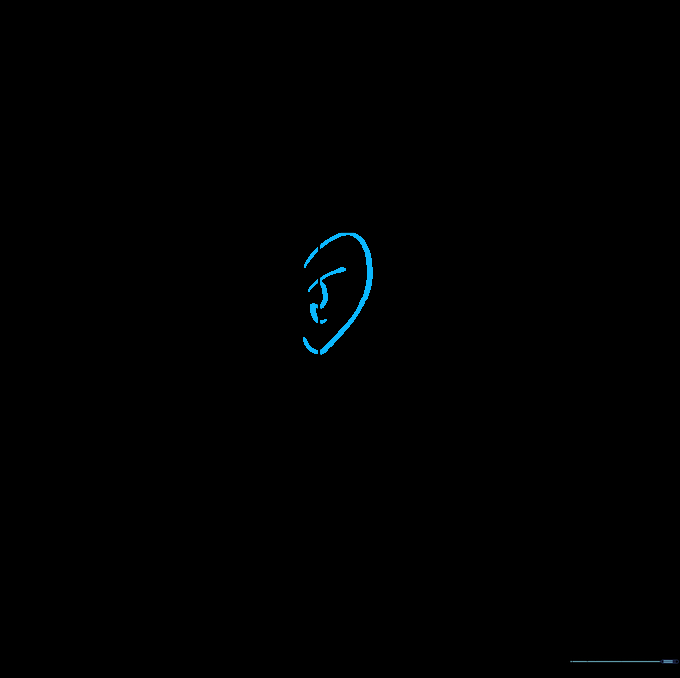 Detailed sketch of an anime-style ear on the side of the head.