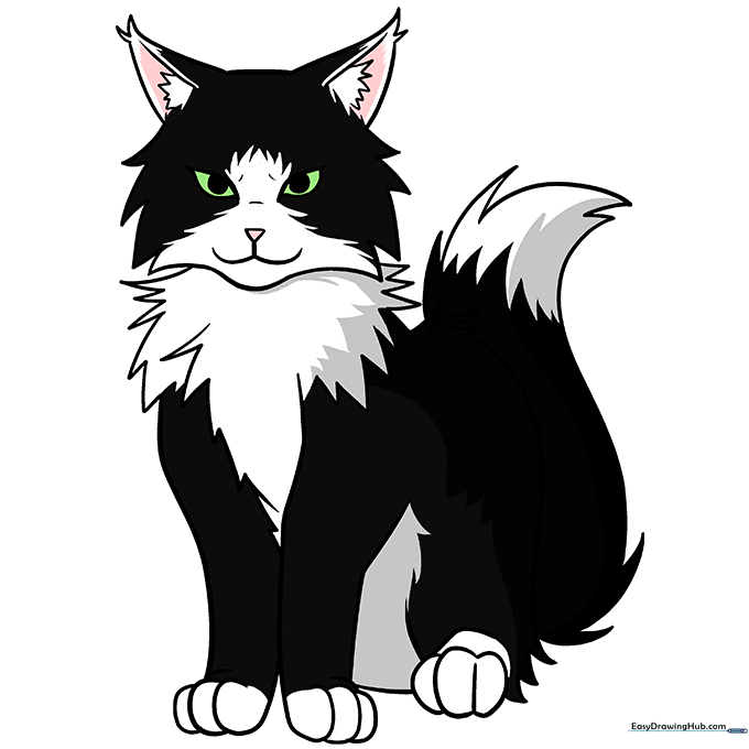 Final colored anime cat drawing with tuxedo markings