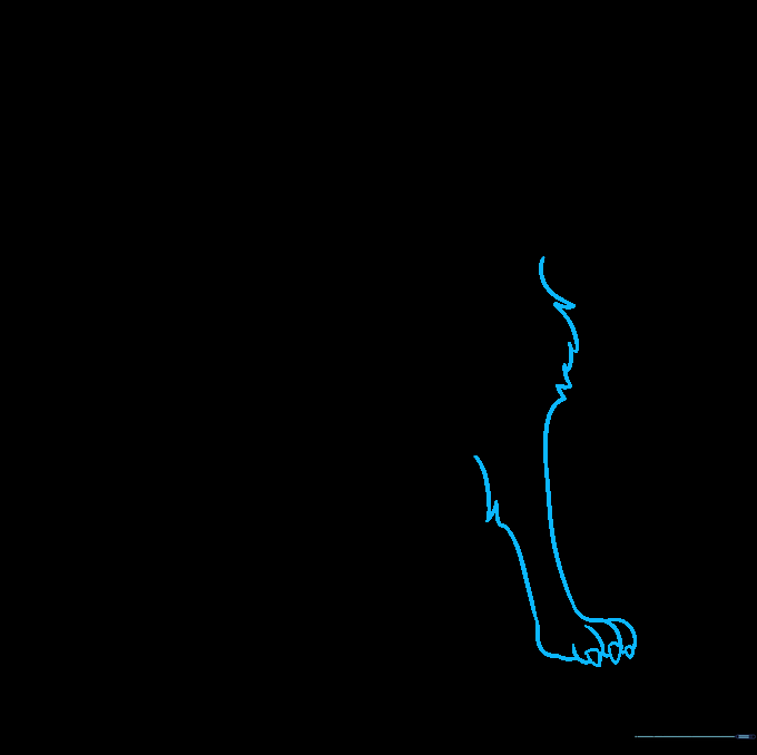 Sketching the second foreleg to complete the front of the dog's body.