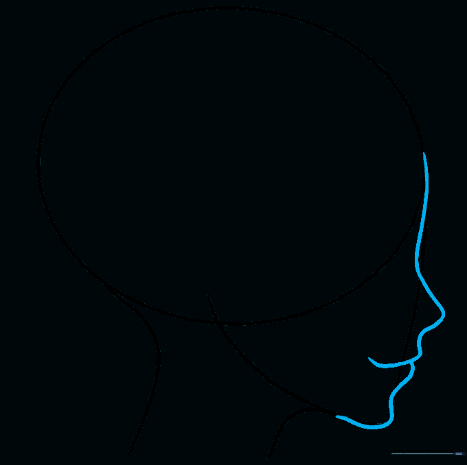 Detailed facial profile lines showing the nose, lips, and chin structure.