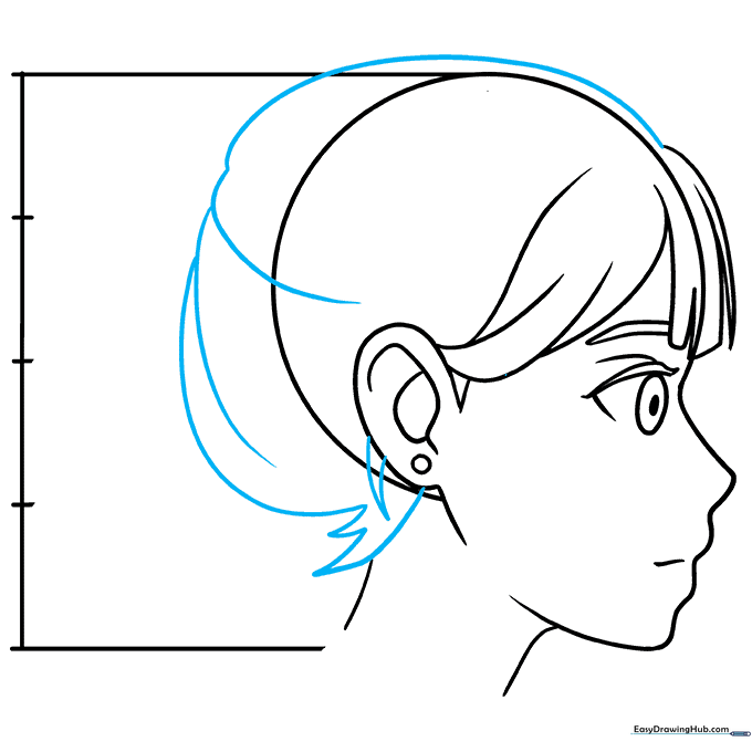 Adding volume to the back of the head and hair texture using curved lines.
