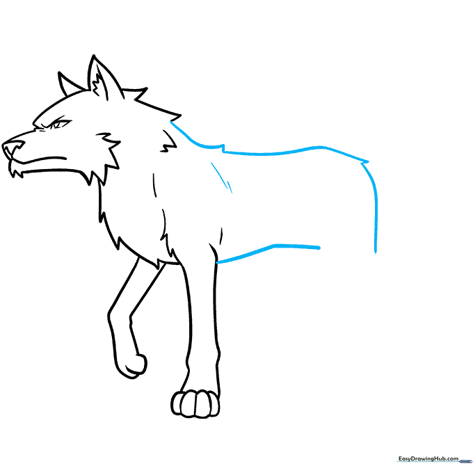 Outlining the back, belly, and hip structure of an anime wolf to create a lean body shape.