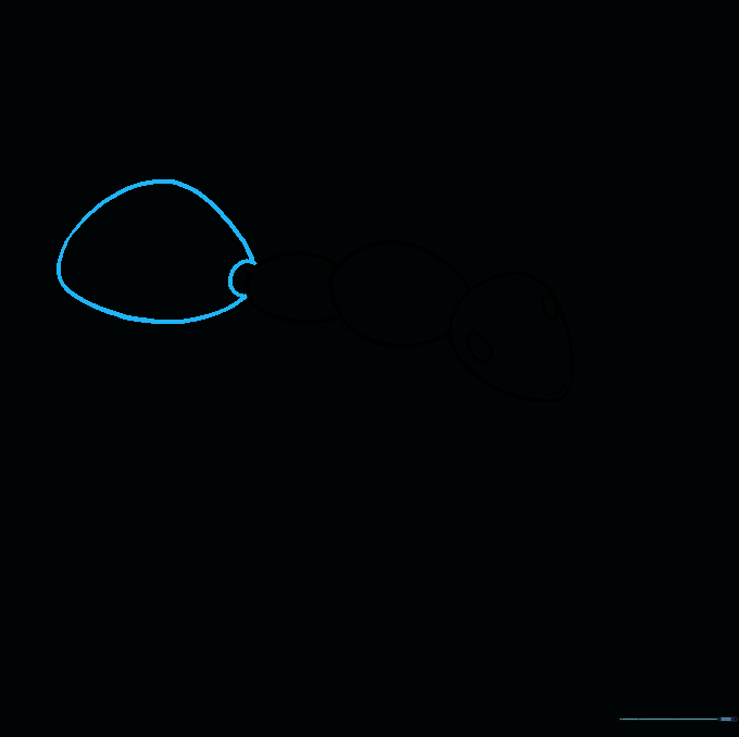 The ant's body outline completed with a large, rounded abdomen attached to the thorax.