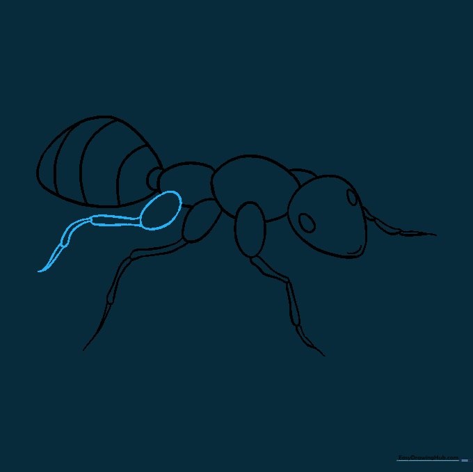 The ant's full set of six legs is now complete, showing the rear pair attached to the abdomen area.