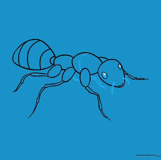 The ant drawing is finalized with two long antennae on the head and shaded eyes with highlights.