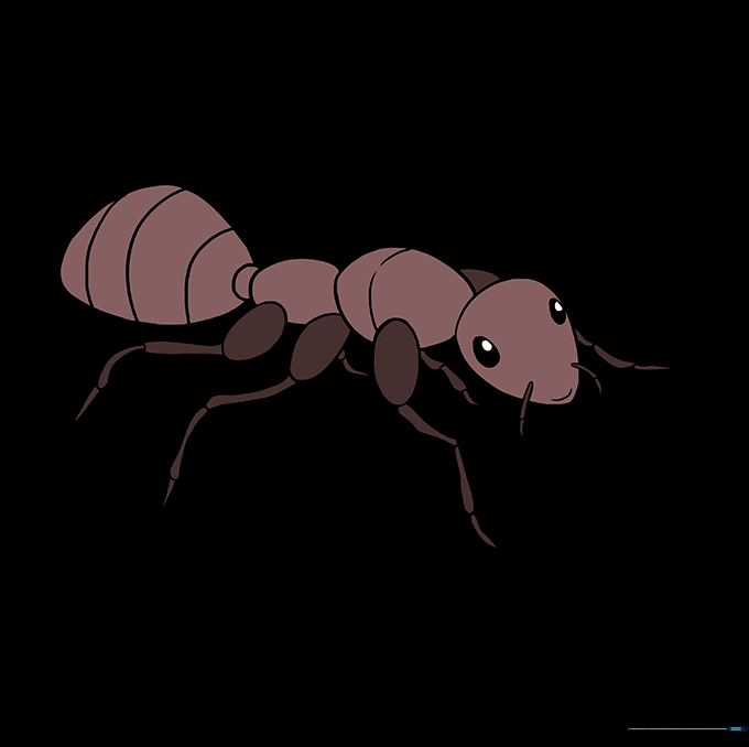 A finished, colored drawing of an ant, showcasing a realistic brown and black color palette.