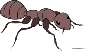 A vibrant, completed illustration of a friendly-looking ant, serving as the final goal for the drawing tutorial.