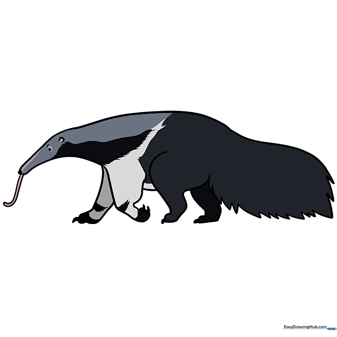 A fully colored, finished cartoon anteater drawing.