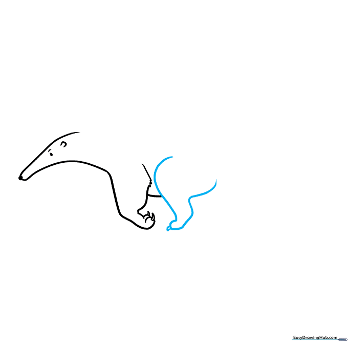 Sketching the back leg of the anteater with a triangular claw.