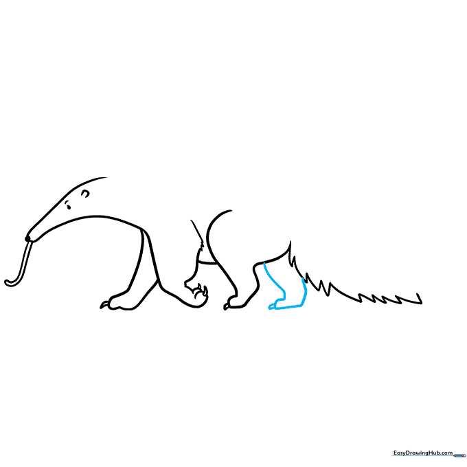 Adding the final rear leg to complete the anteater's stance.