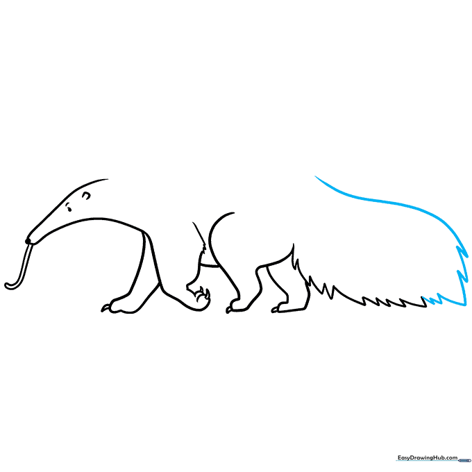 Completing the outline of the large, bushy tail.