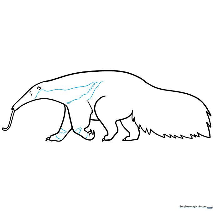 Adding detail lines to the anteater's fur and shoulder patterns.