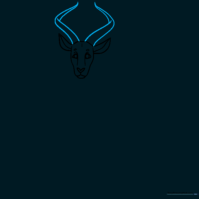 Drawing the long, twisted horns on top of the antelope's head.