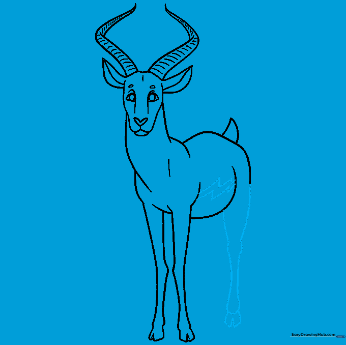 Adding belly markings and the first rear leg to the drawing.