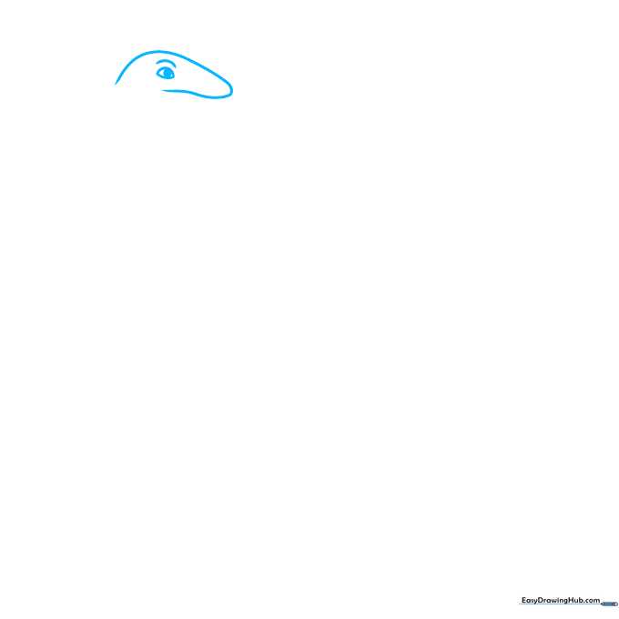 Close-up pencil sketch of an Apatosaurus head showing the eye and brow ridge.