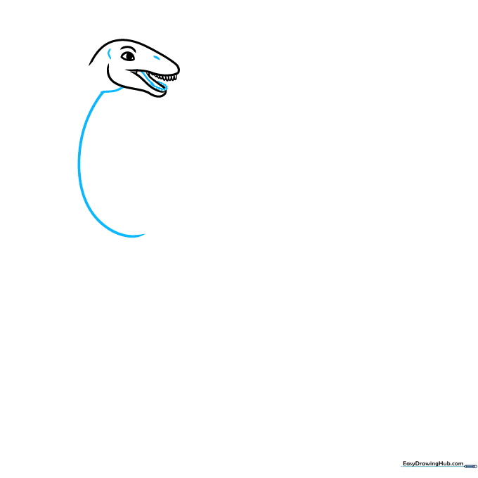 Drawing the start of the long, curved Apatosaurus neck extending from the head.