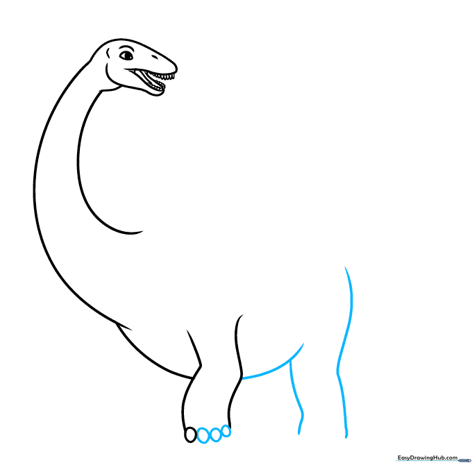 Drawing the belly curve and the rear leg of the Apatosaurus.