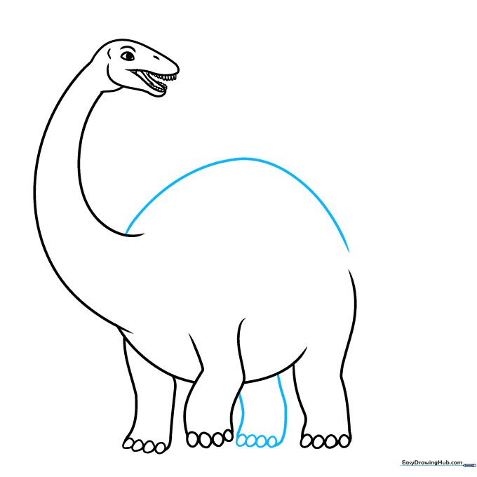 Drawing the final leg and the long back line of the Apatosaurus.