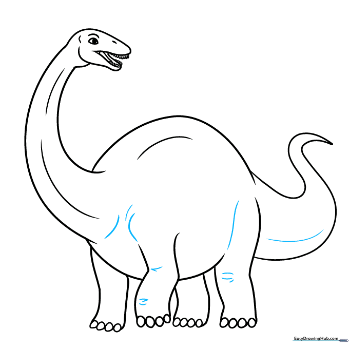 Adding final contour lines to the Apatosaurus body for detail.