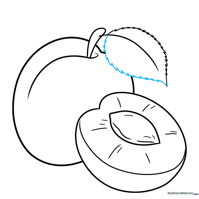 Completing the leaf shape by closing the serrated edge and cleaning up guide lines.