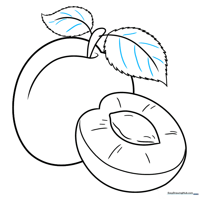Drawing fine vein details on the leaves to complete the botanical structure.