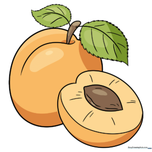 A vibrant, finished illustration of a ripe apricot with green leaves, perfect for kids' art projects.