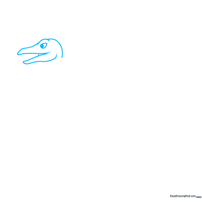 Pencil sketch of an Archaeopteryx head showing the eye ridge, teardrop eye, and open jaw structure.