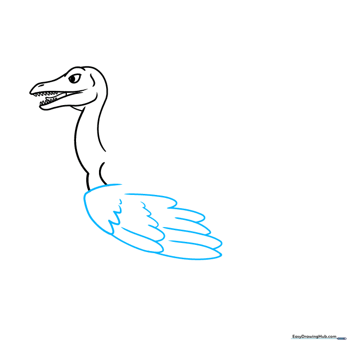 Drawing the primary wing structure of the Archaeopteryx with overlapping feather rows.