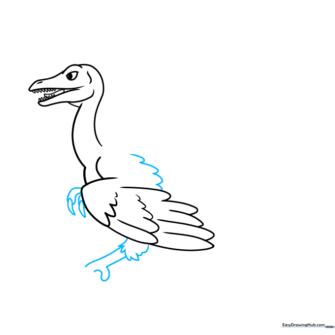 Close-up of the Archaeopteryx wing showing clawed fingers and the start of the leg structure.
