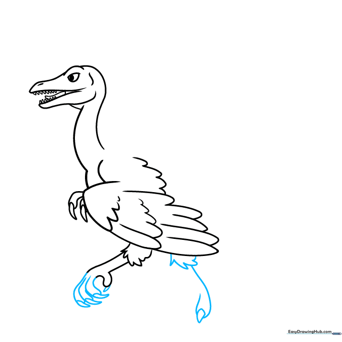 Detailed sketch of the Archaeopteryx foot with sharp talons and toes.