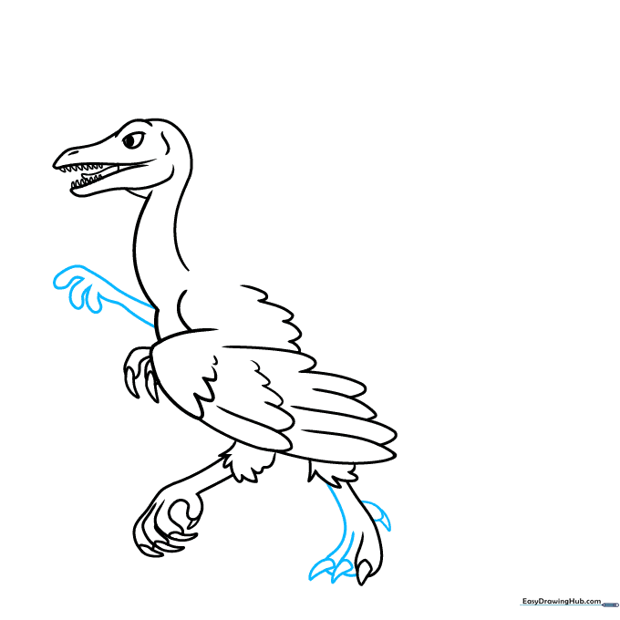 Drawing the rear leg and forearm of the Archaeopteryx.