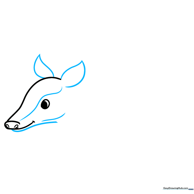 Step 2 showing the addition of pointed ears and the lower jawline to the armadillo head.