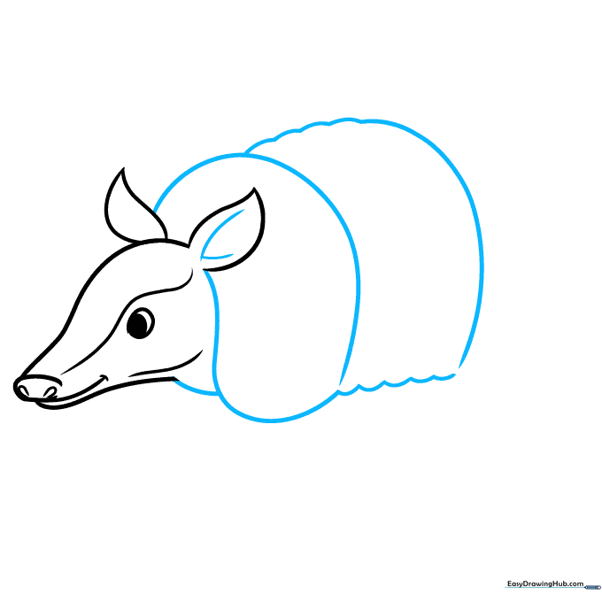 Drawing the rounded, scalloped shell of the armadillo.