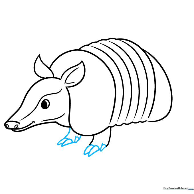 Detailing the sharp, triangular claws on the armadillo's front foot.