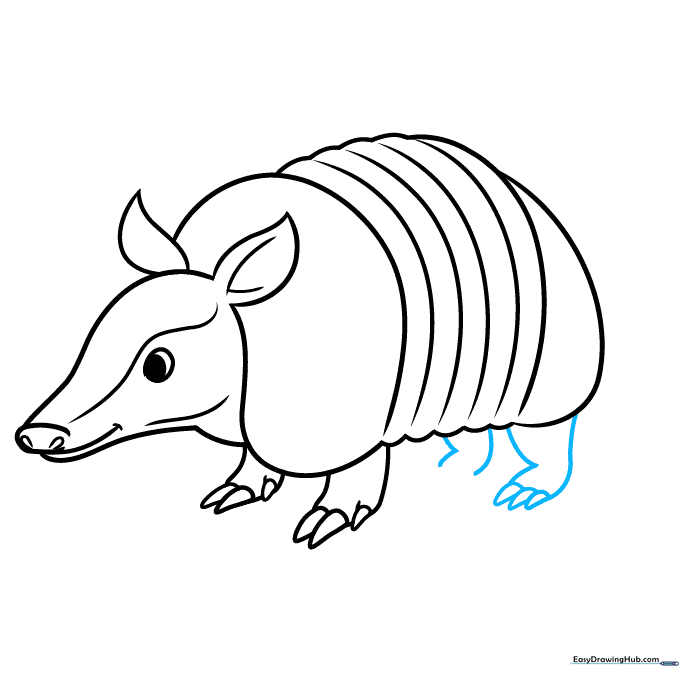 Adding the rear legs and feet with claws to the armadillo body.