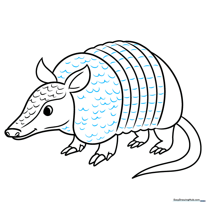 Adding detailed scale patterns across the armadillo's midsection.