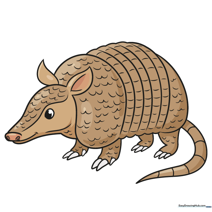 A finished, colored cartoon armadillo illustration.
