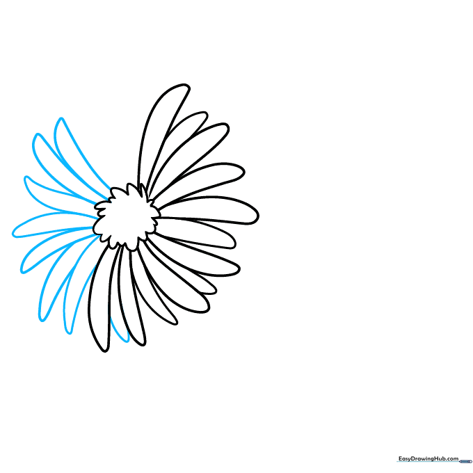 Aster flower drawing with more petals added to create a dense, layered look.
