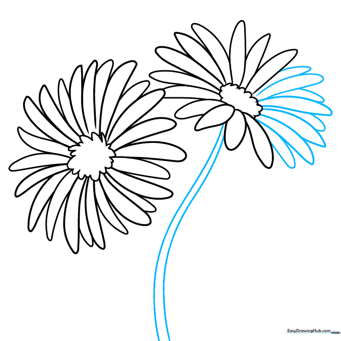Two aster flowers now connected to a long, curved stem.