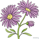 A colorful, finished drawing of aster flowers, perfect for beginners.