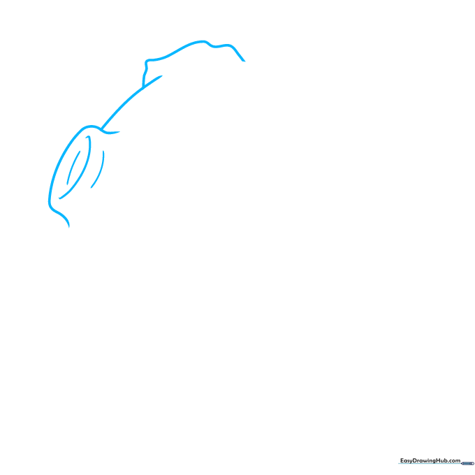 Pencil sketch showing the initial curved lines forming the top rim of two asteroid craters.