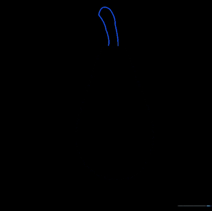Drawing the small stem at the top of the avocado shape.