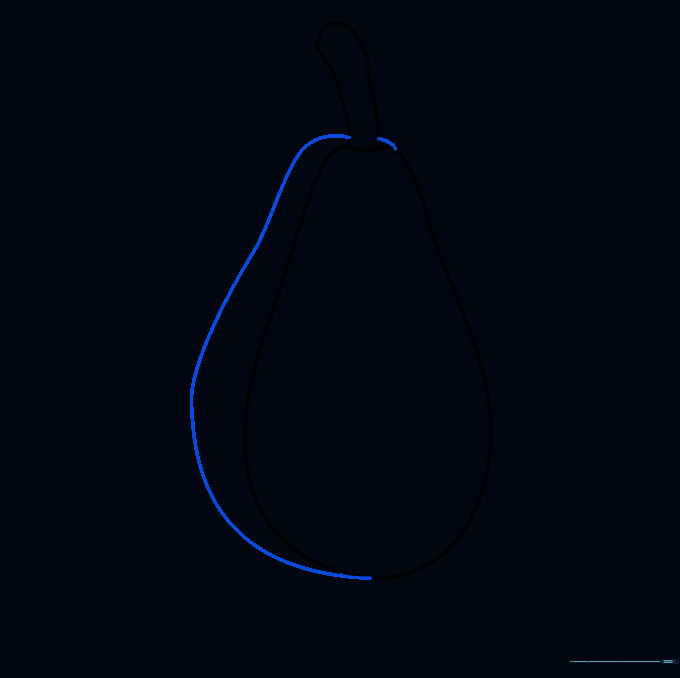 Adding a curved line to define the avocado skin texture.